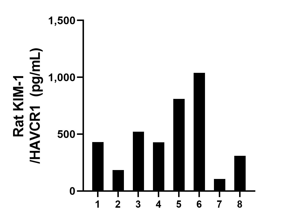 Serum of eight individual healthy rats were measured. The rat KIM-1/HAVCR1 concentration of detected samples was determined to be 478.5 pg/mL with a range of 105.6-1,038.5 pg/mL.